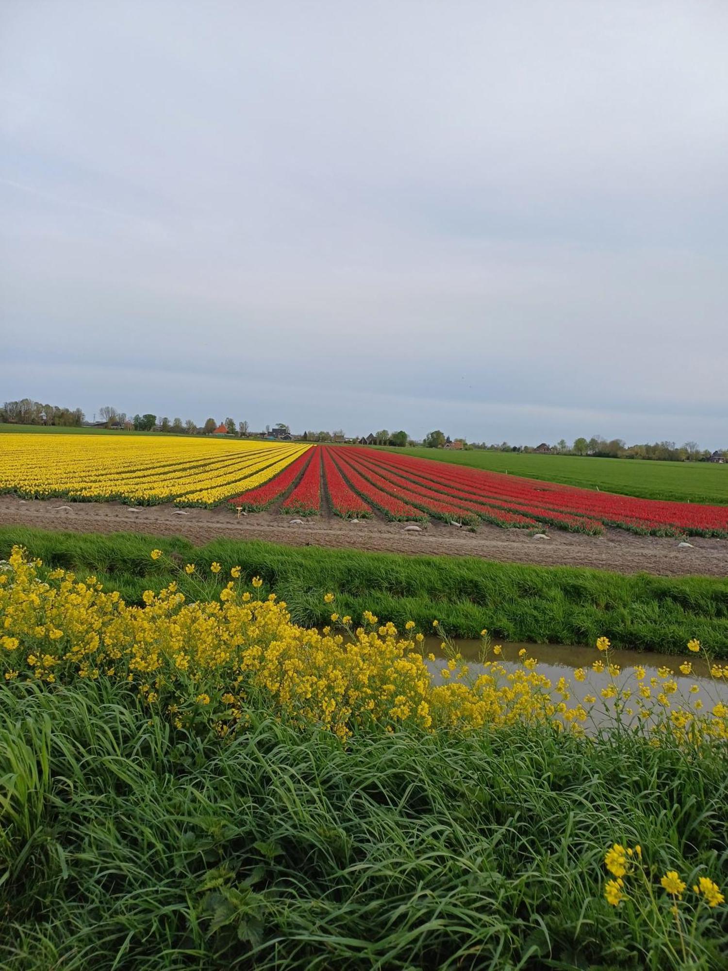Kota Wadway Villa Spanbroek Bagian luar foto