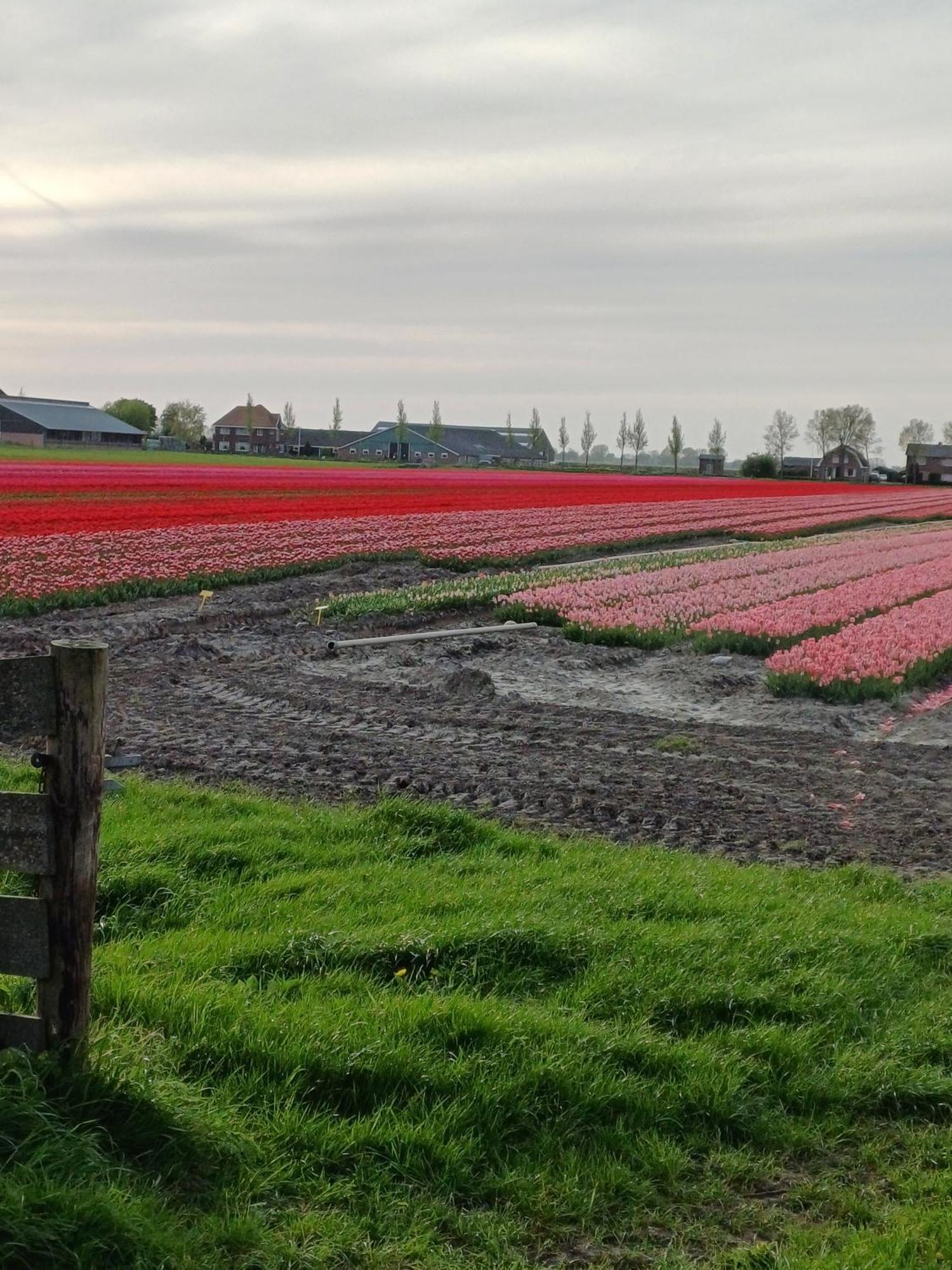 Kota Wadway Villa Spanbroek Bagian luar foto